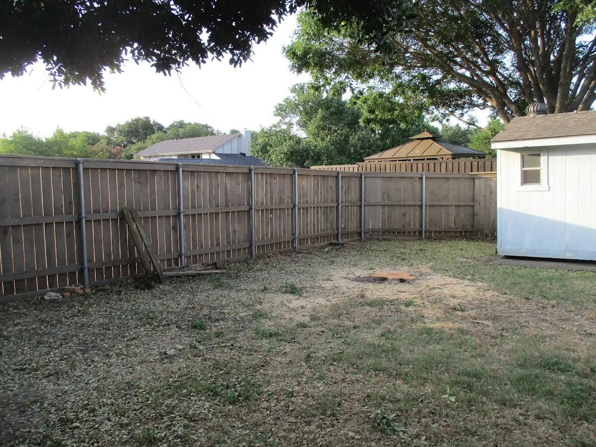 Cleared yard after professional tree removal in Coulterville